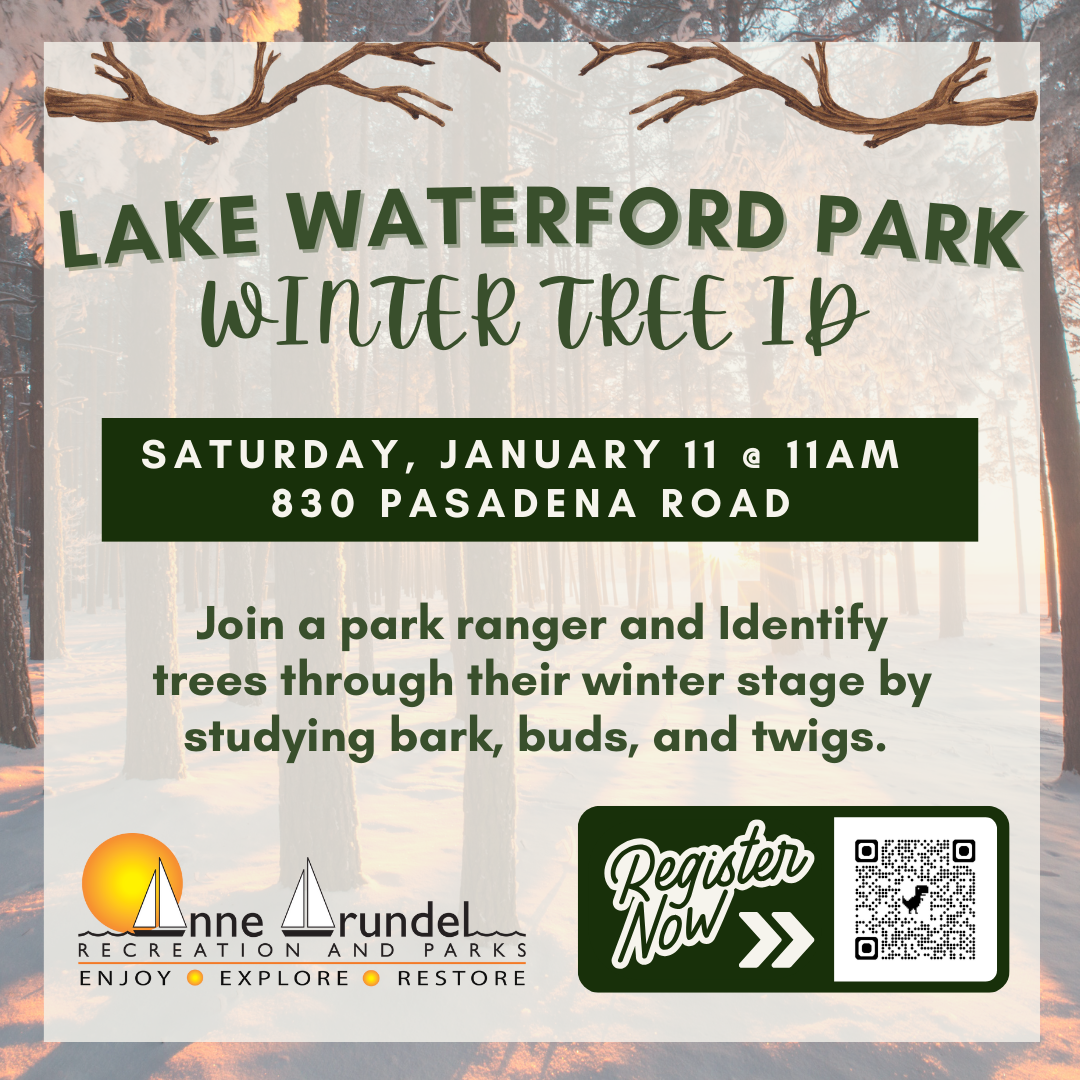 Lake Waterford Hidden Trees Infographic