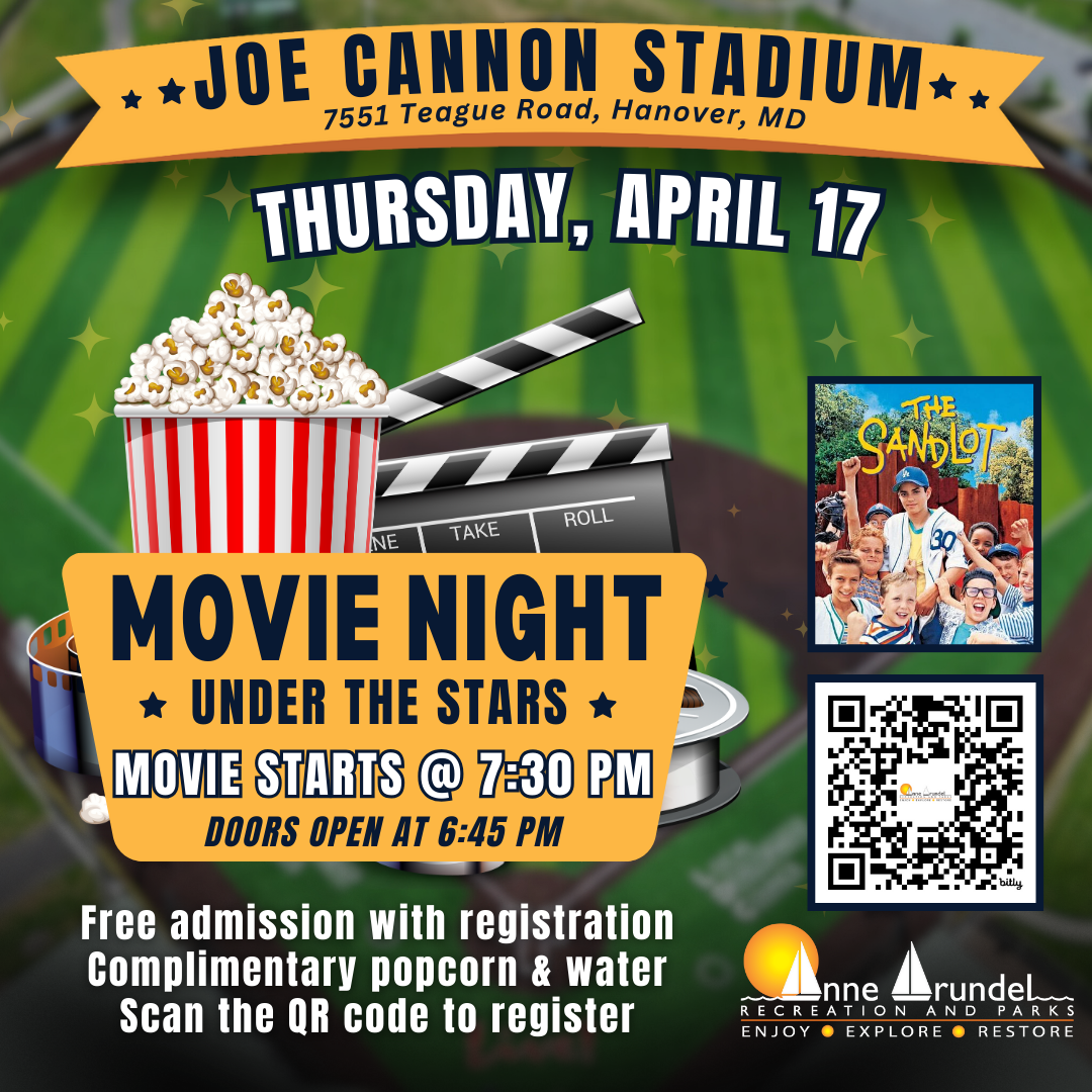 Movie Night Infographic