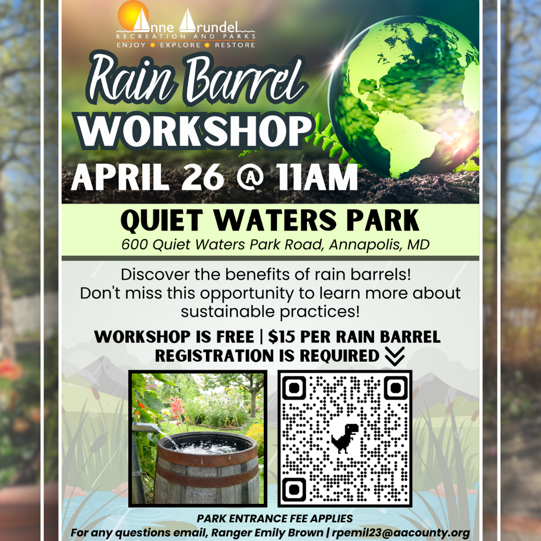 Rain Barrel Workshop