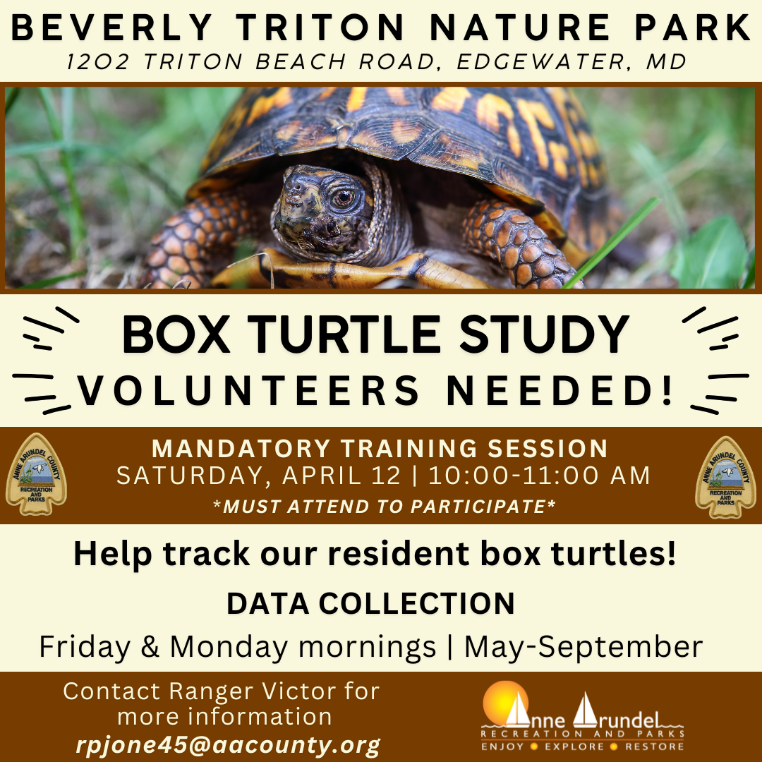Box Turtle Study Volunteers Needed
