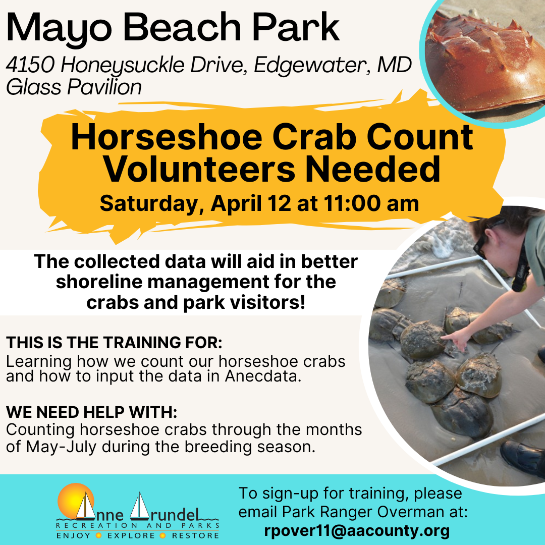 Horseshoe Crab Count Volunteers Needed