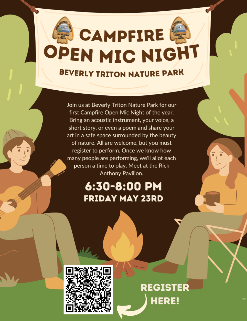 Open Mic Night Campfire