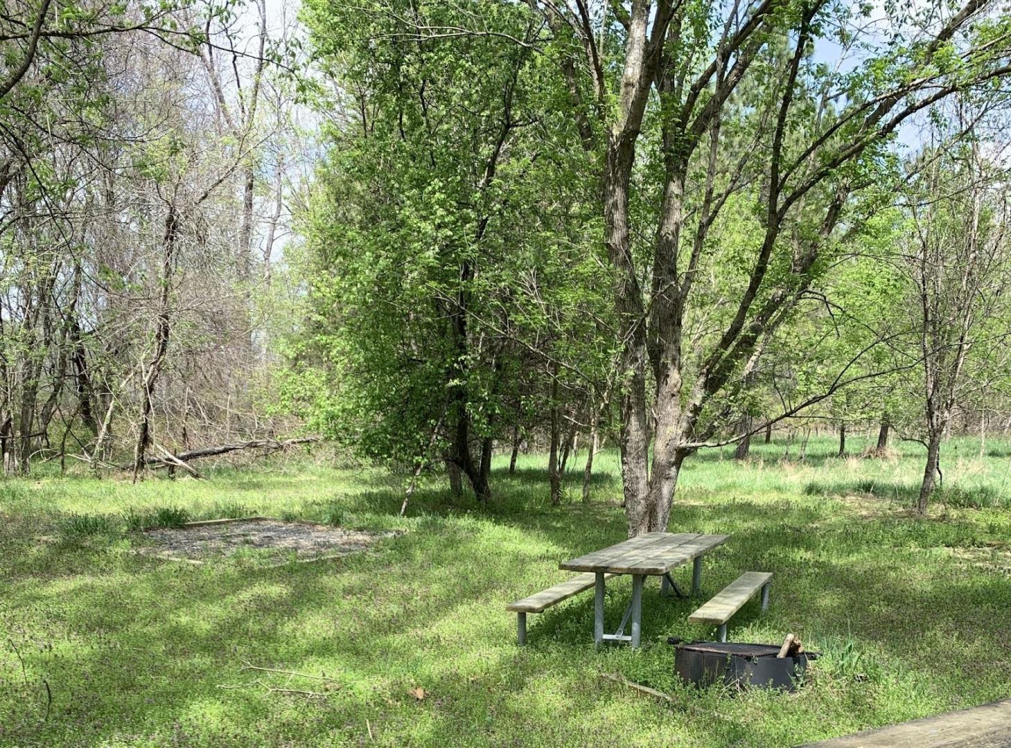 Ford Campsite at Stocketts Run