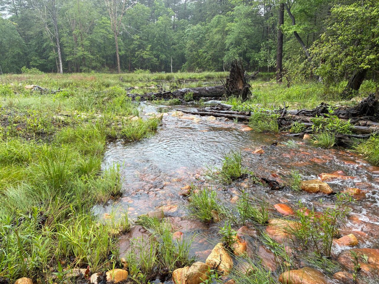 Stream with rocks in it