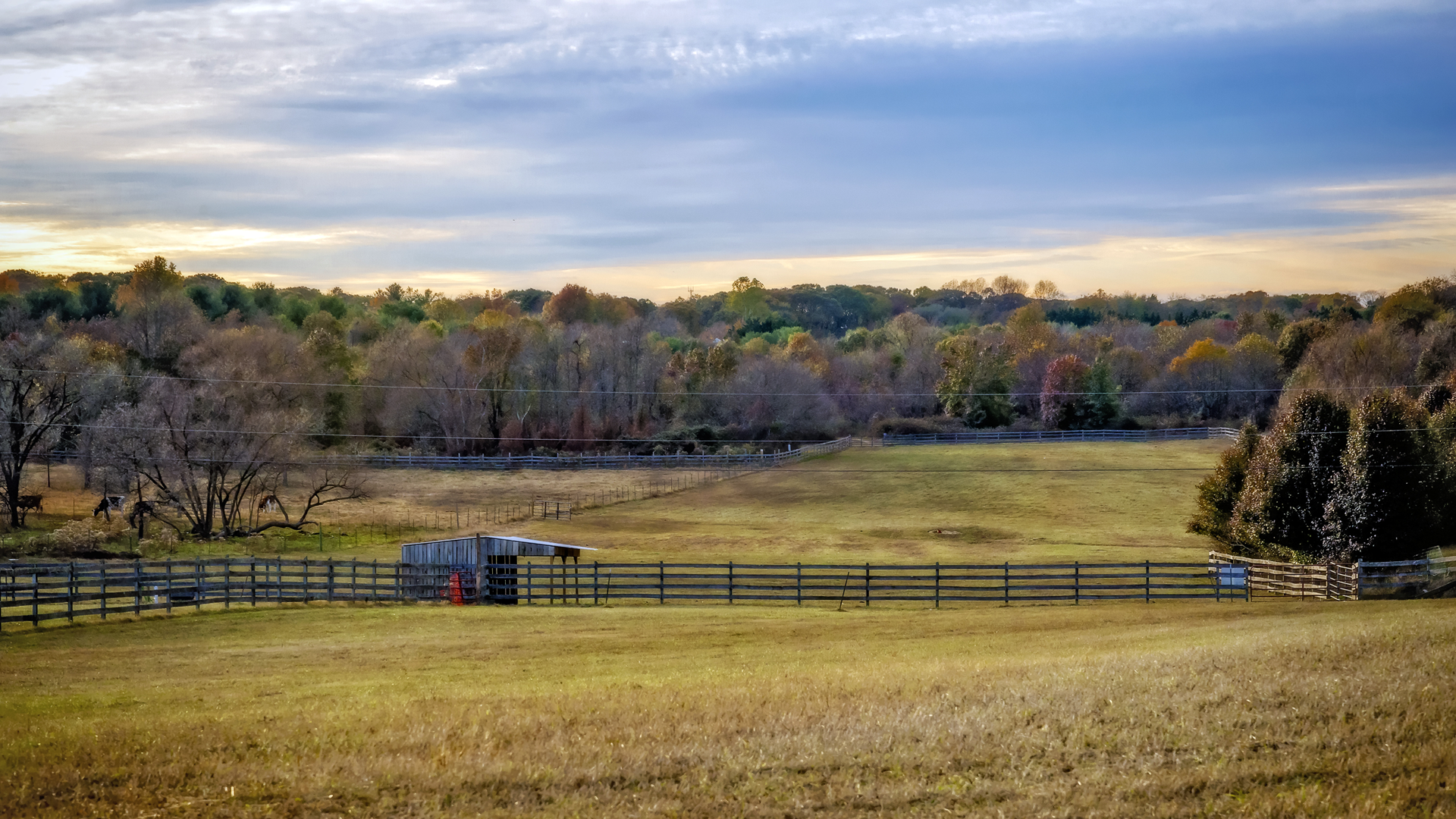 Kinder Farm Park - Background Image