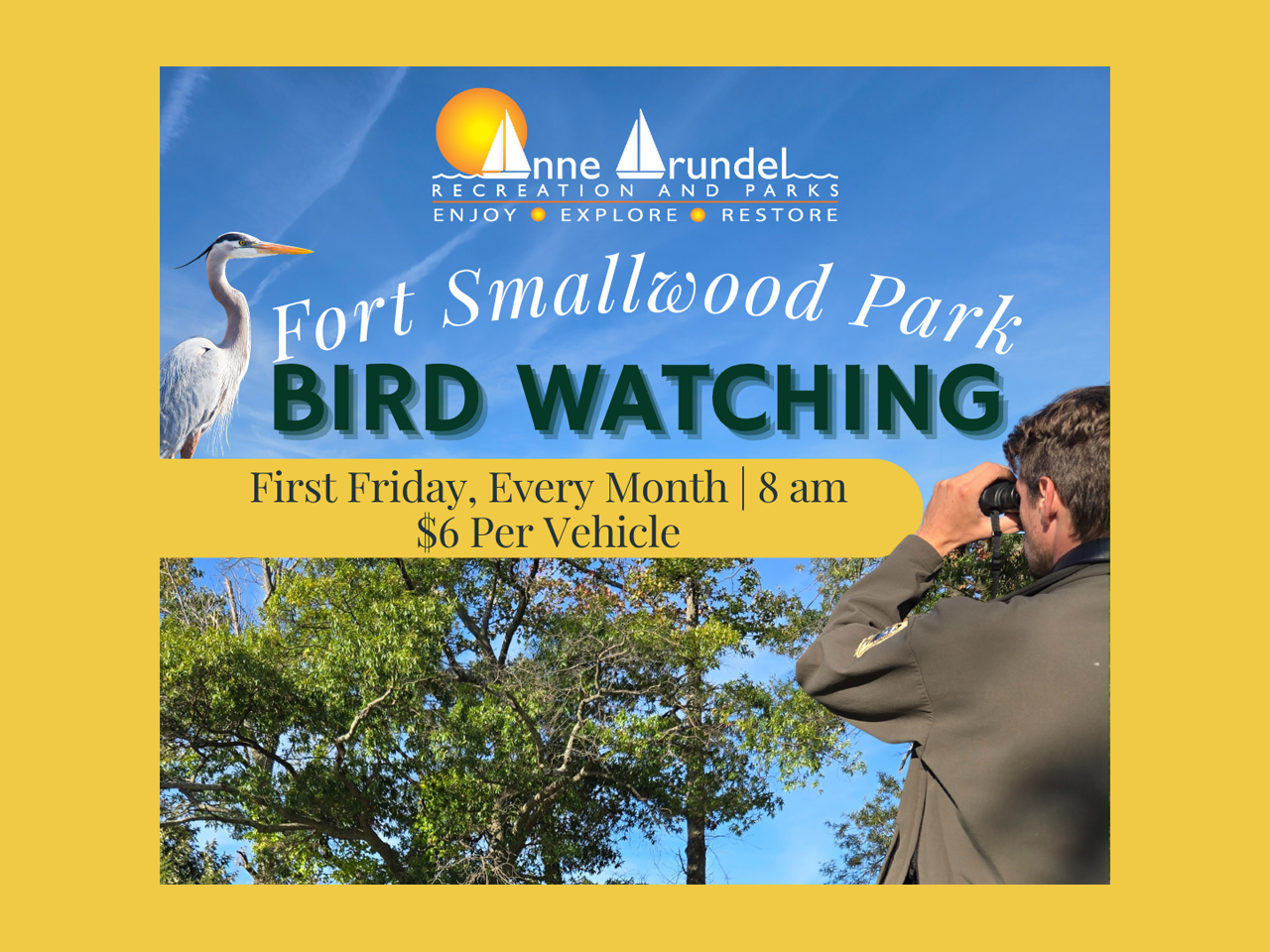 Bird Watching at Fort Smallwood Park