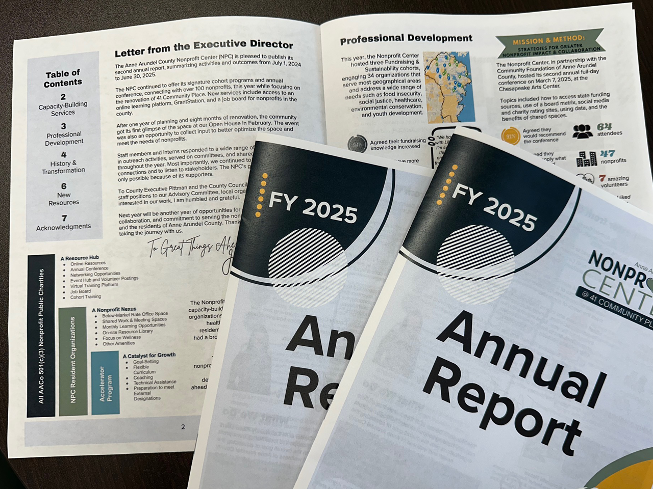 Nonprofit - FY2025 Annual Report Available Now