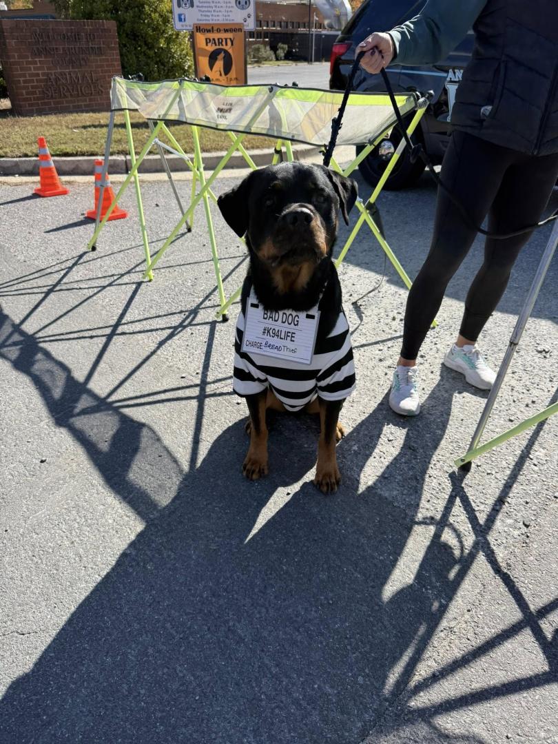 Animal Services Howl-O-Ween Pawty
