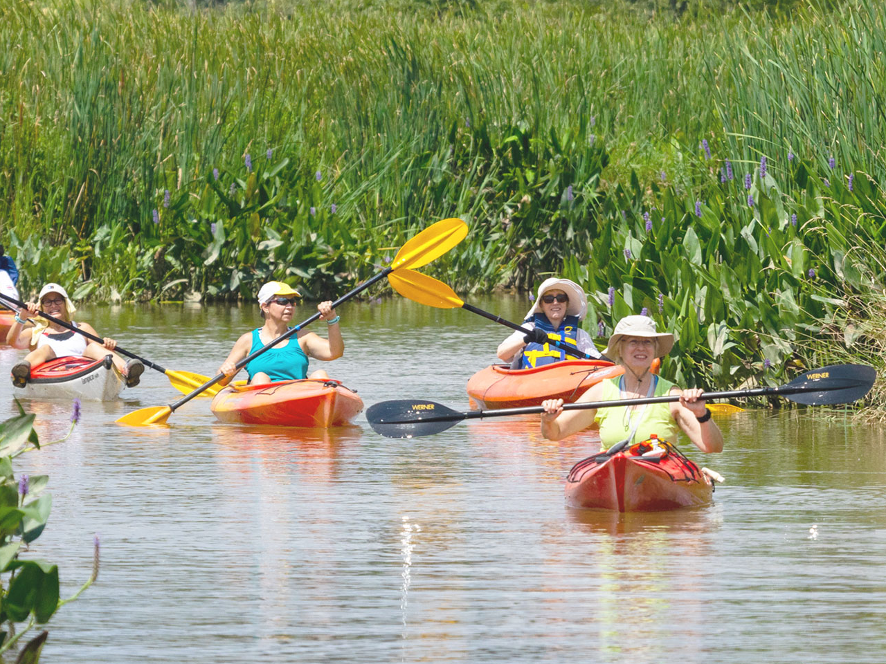 Ladies canoeing 