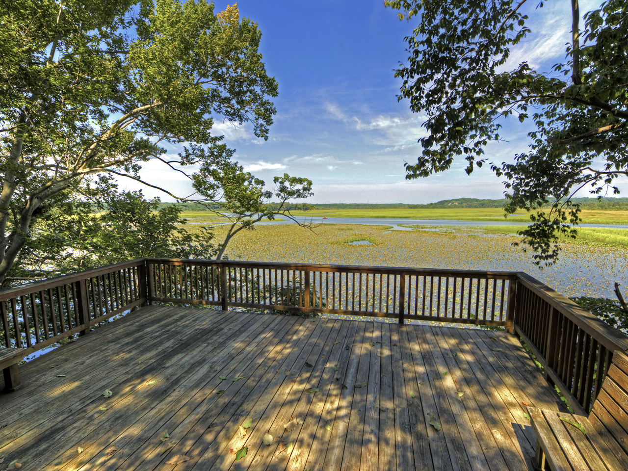 Jug Bay Wetlands Sanctuary Observation Deck