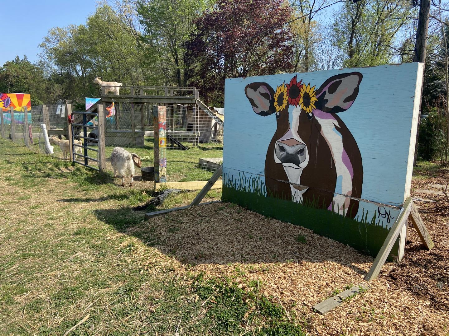 Region 6 Langton Green Community Farm