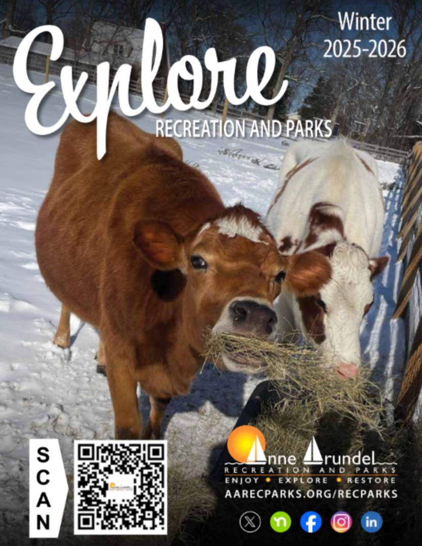 Program guide cover for Rec & Parks, a photo of cows