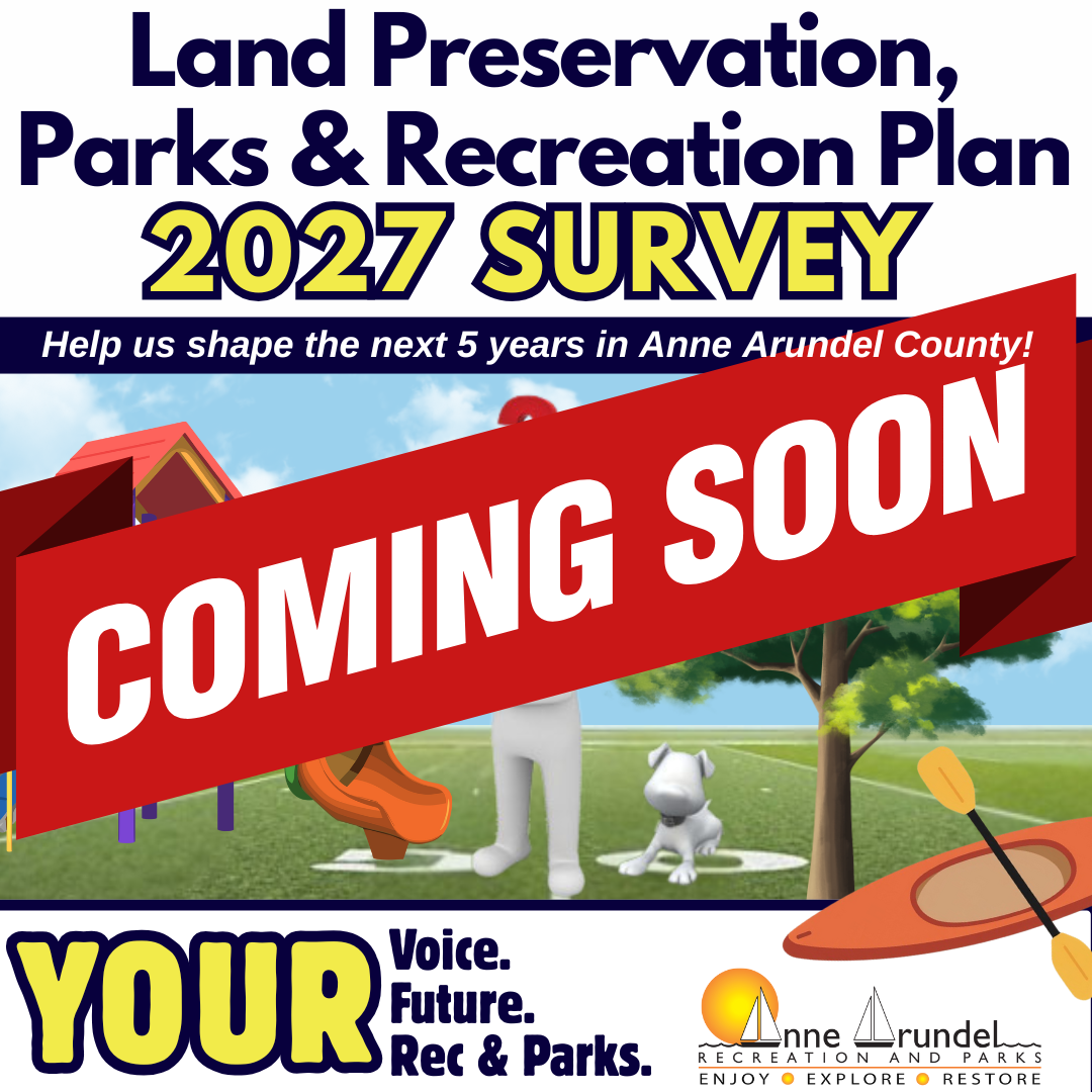 2027 LPPRP infographic