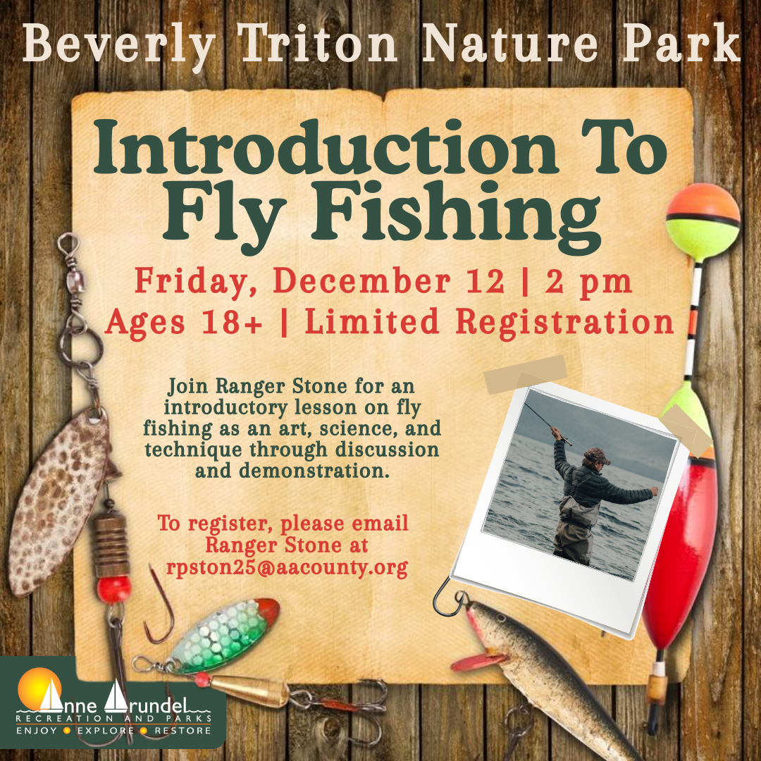 Fly Fishing Infographic