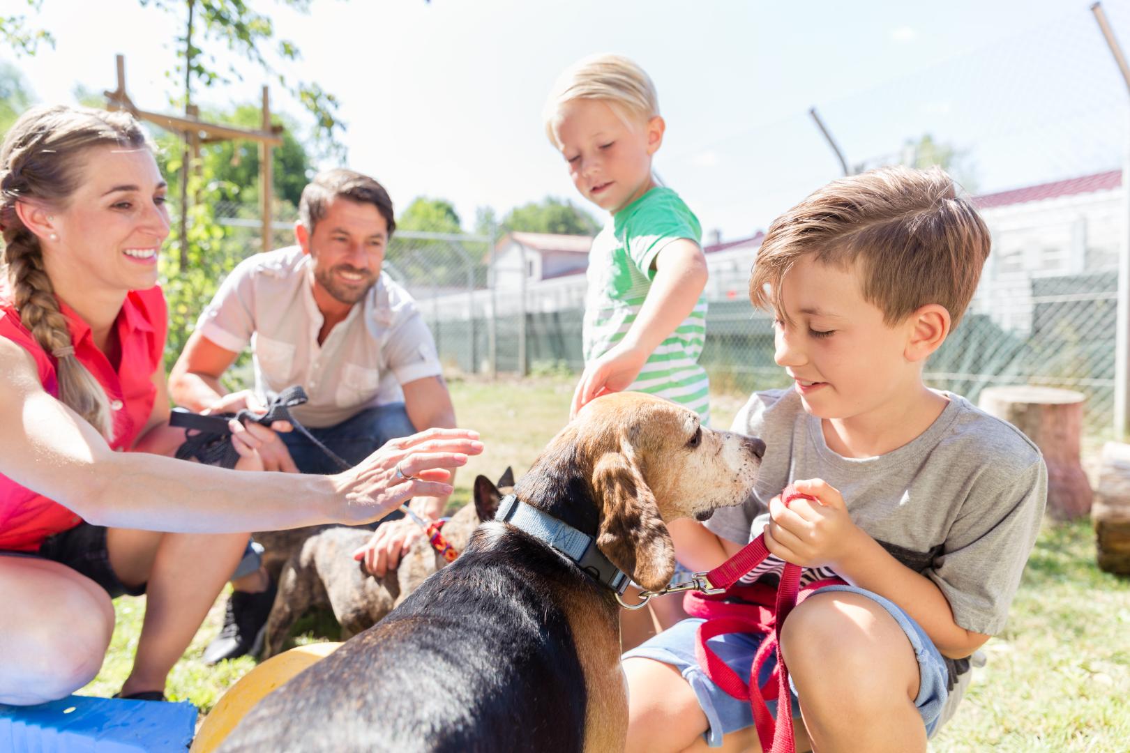 Family taking home a dog from the animal shelter giving new home stock photo