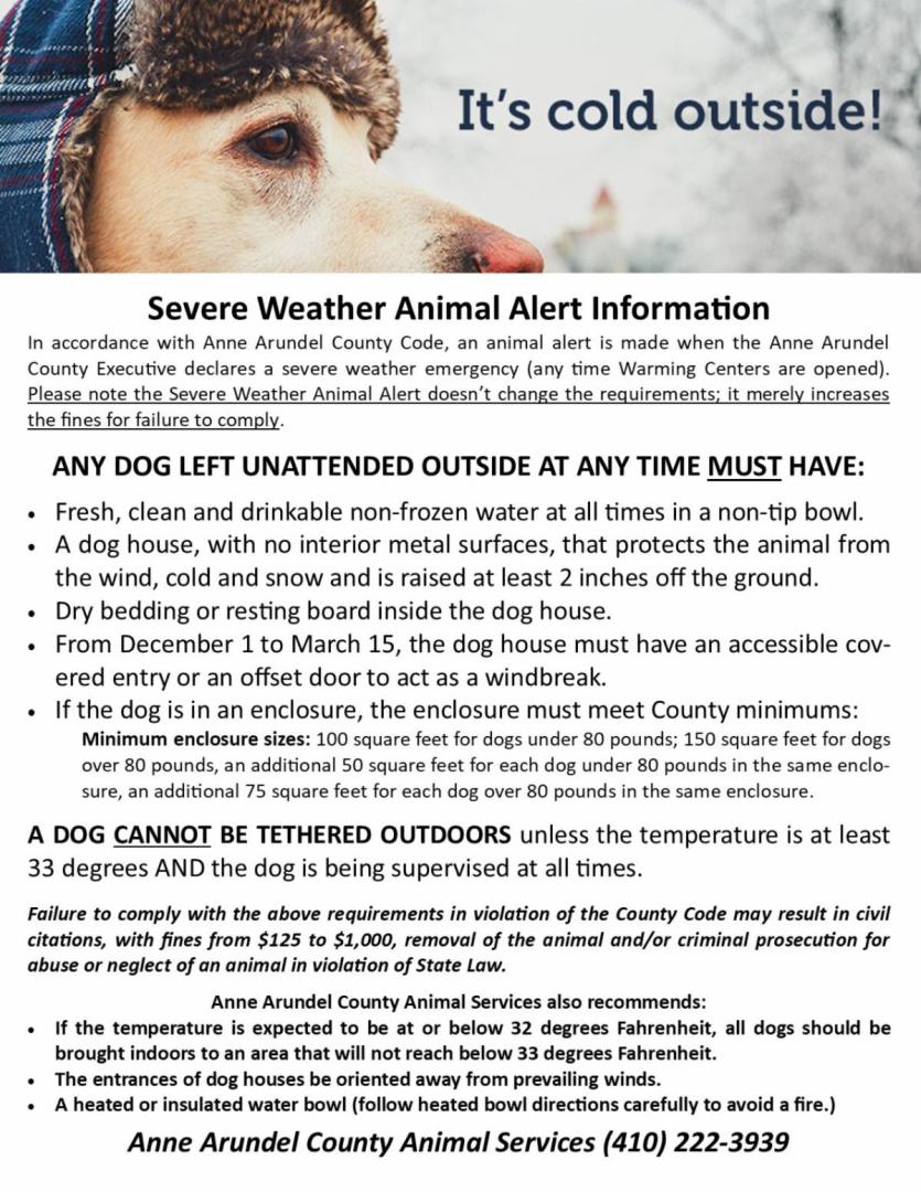 Cold Weather Infographic