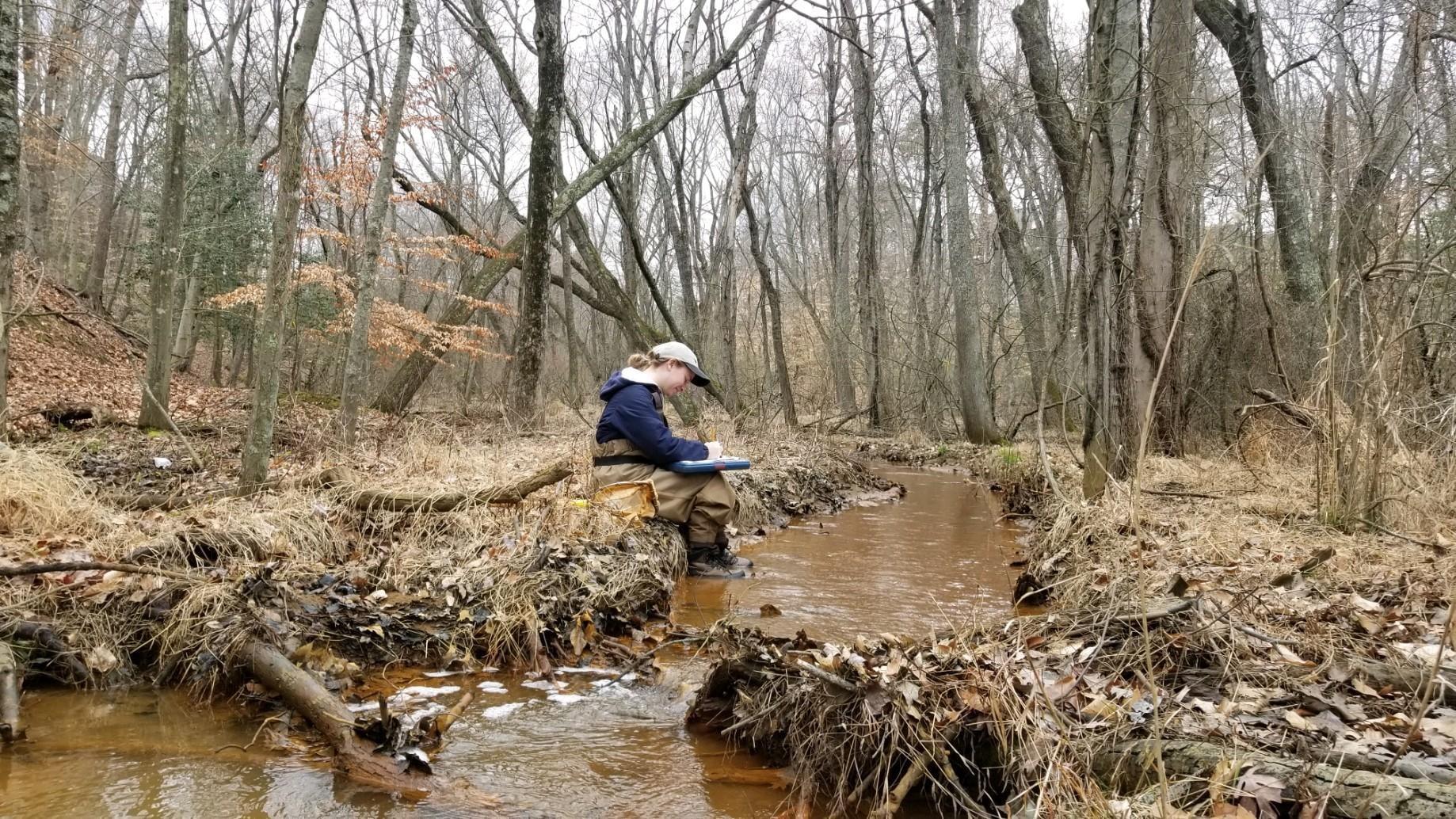 Staff conducting Fieldwork