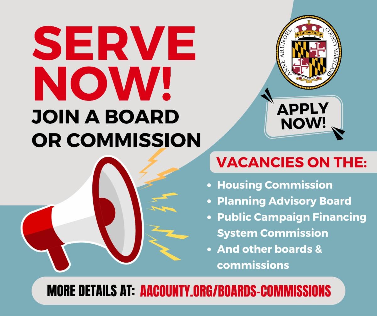 Board & Commission Infographic