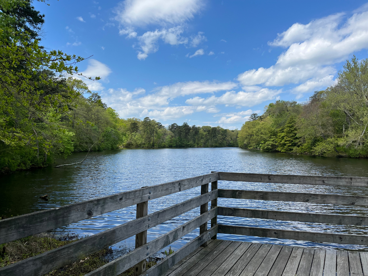 Lake Waterford Park - Lake View