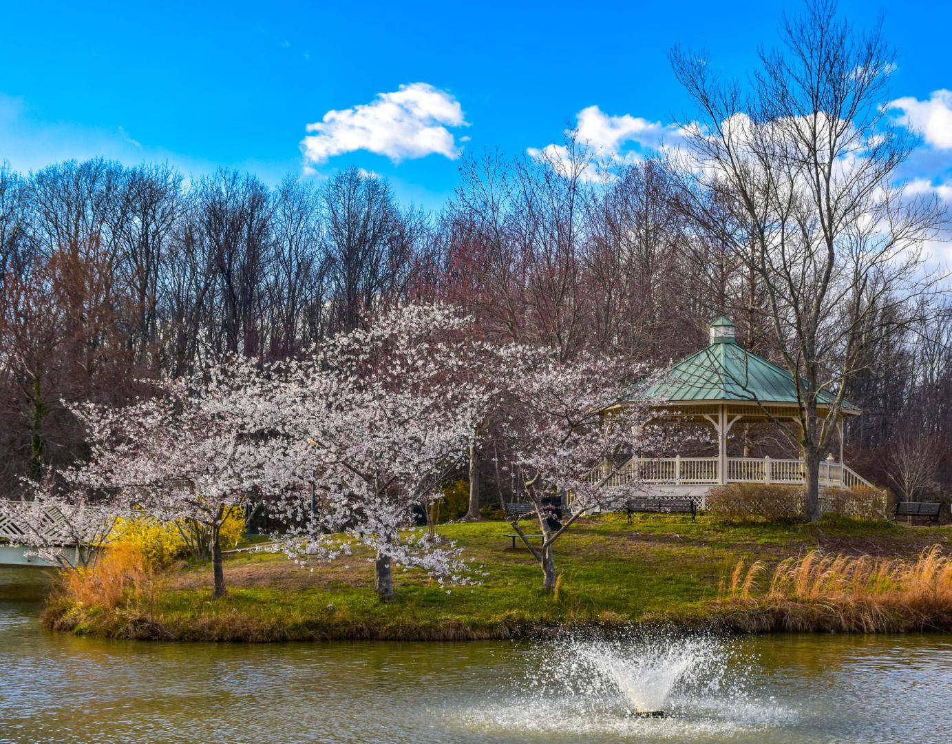 Quiet Waters Park  James Lighthizer Gazebo