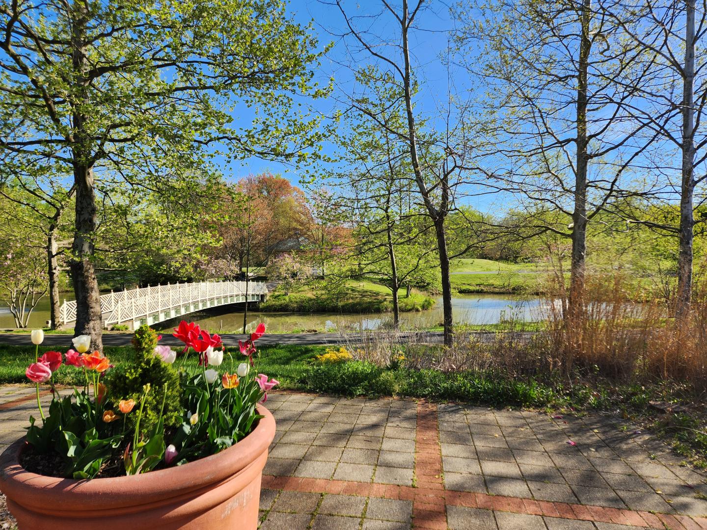Quiet Waters Park Pond