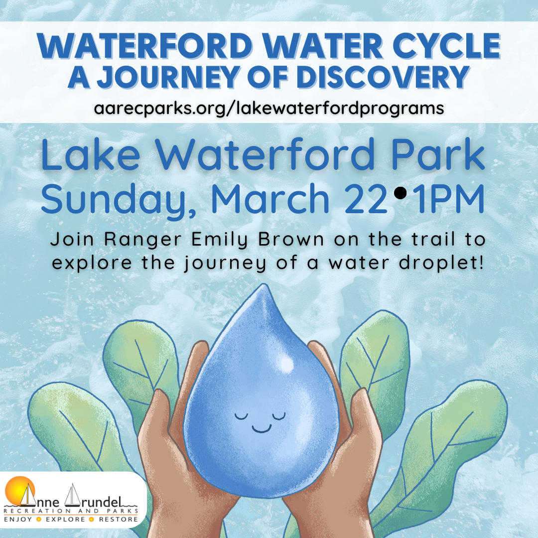 Lake Waterford Event