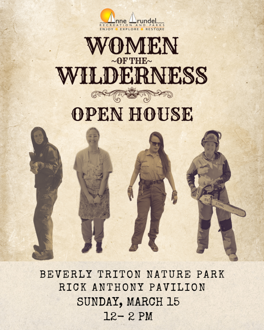Women of the Wilderness