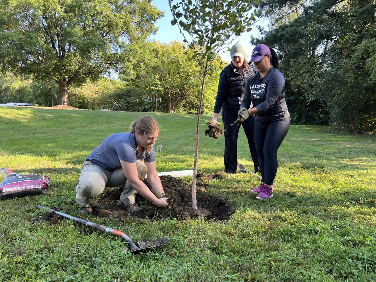 NPC Anne Arundel County Watershed Stewards Academy (WSA)