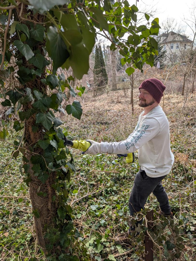 NPC Anne Arundel County Watershed Stewards Academy (WSA)