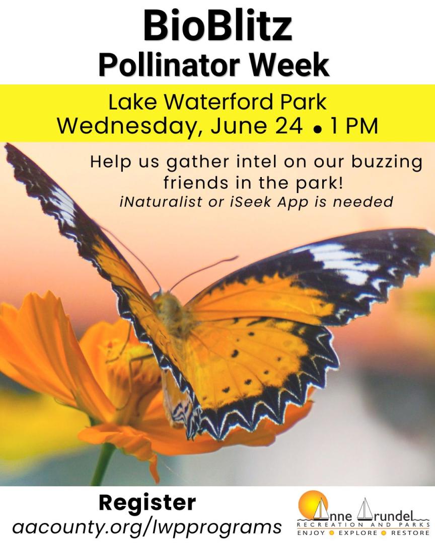Pollinator Week