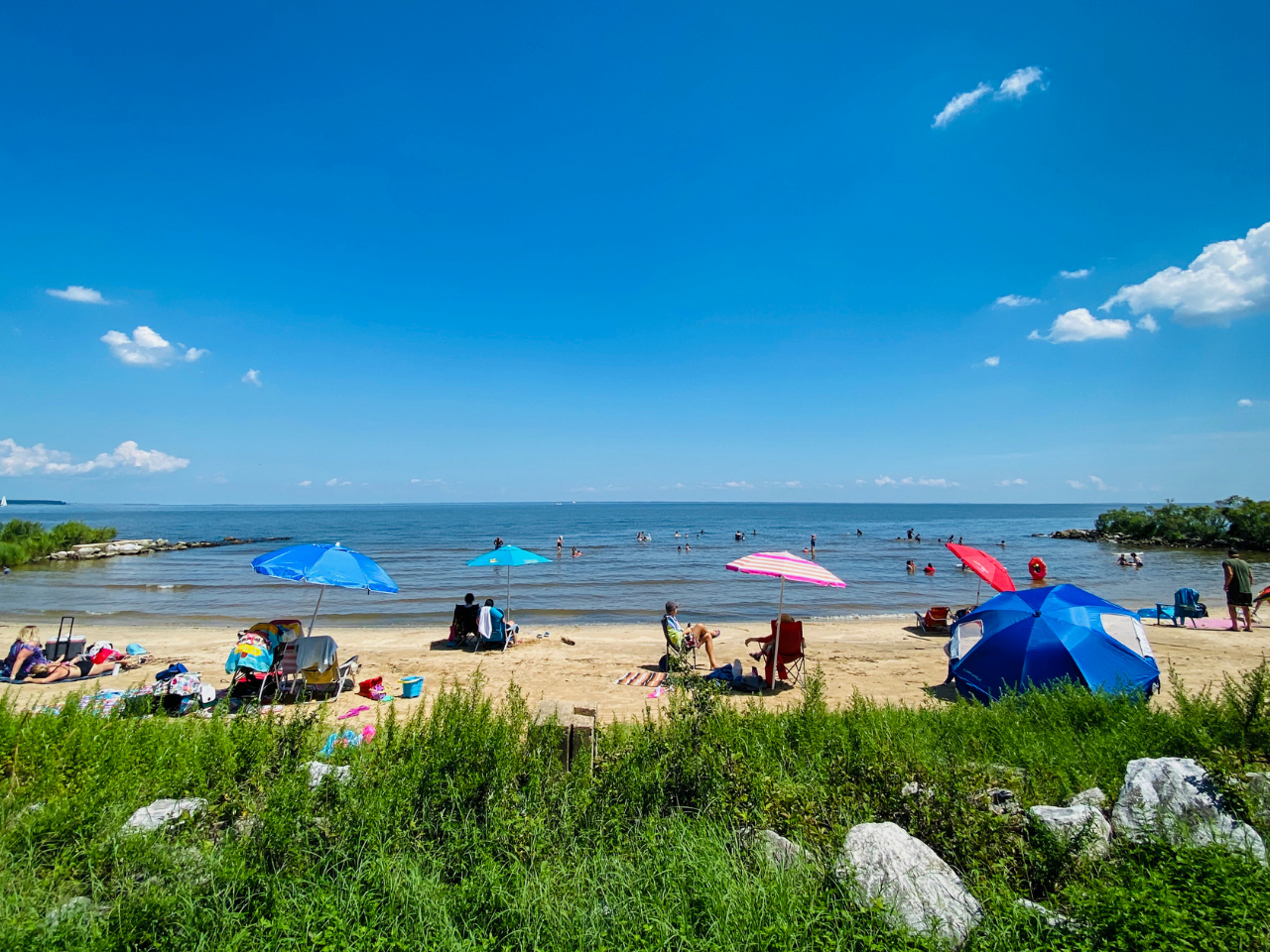 A vibrant, wide-angle shot of a sunny beach day looking out toward a calm body of water under a bright blue sky with a few scattered white clouds. In the foreground, lush green beach grass and a few large rocks border the sandy shore. Along the beach, several colorful beach umbrellas—in shades of bright blue, light blue, and pink—and a blue beach tent are set up. People are relaxing in beach chairs, while others can be seen wading and swimming farther out in the shallow water. 