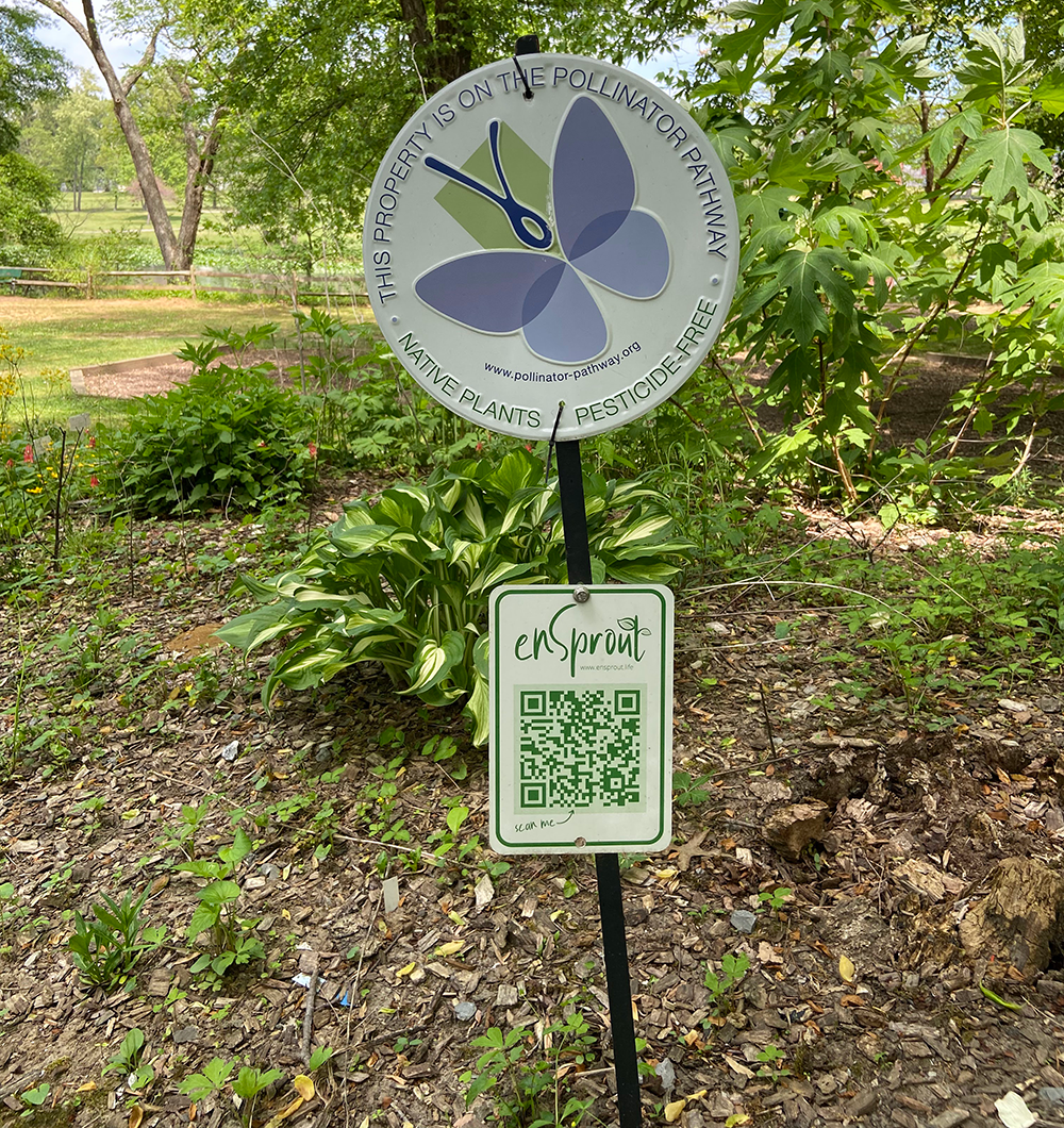 Swann Park