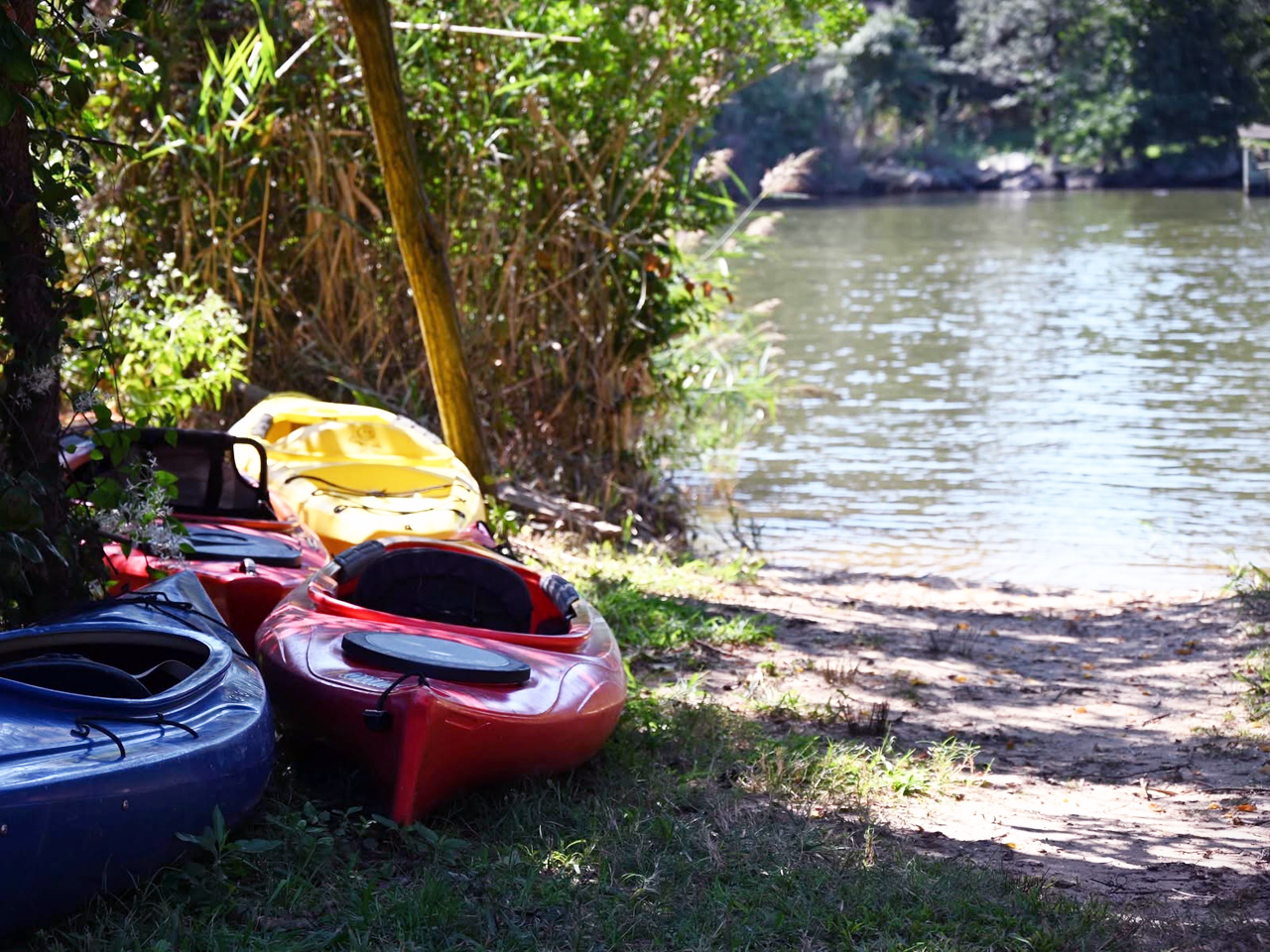 Located along the western shoreline of the park, between the fishing pier and the main boat ramp, this launch site affords paddlers convenient entry to a sheltered cove on Rock Creek. The launch entrance is accessible via a brief walk from the fishing pier parking area, with directional signage provided for paddlers. Portable restroom facilities are available at this location.
