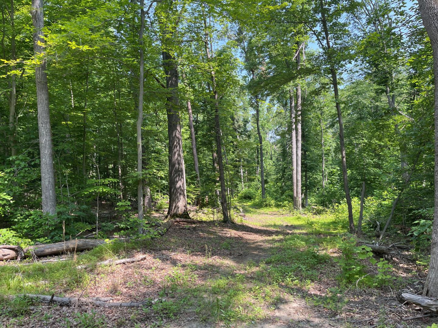 Photo courtesy of Scenic Rivers Land Trust