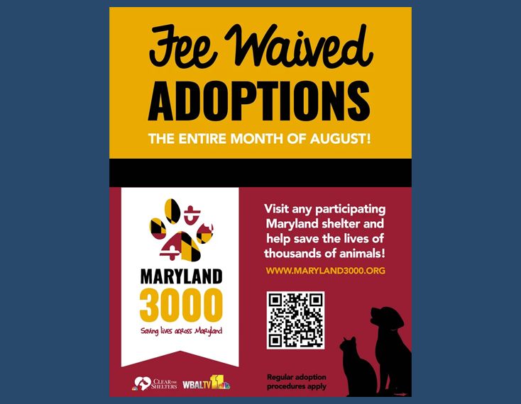 Free Pet Adoptions infographic for the month of August