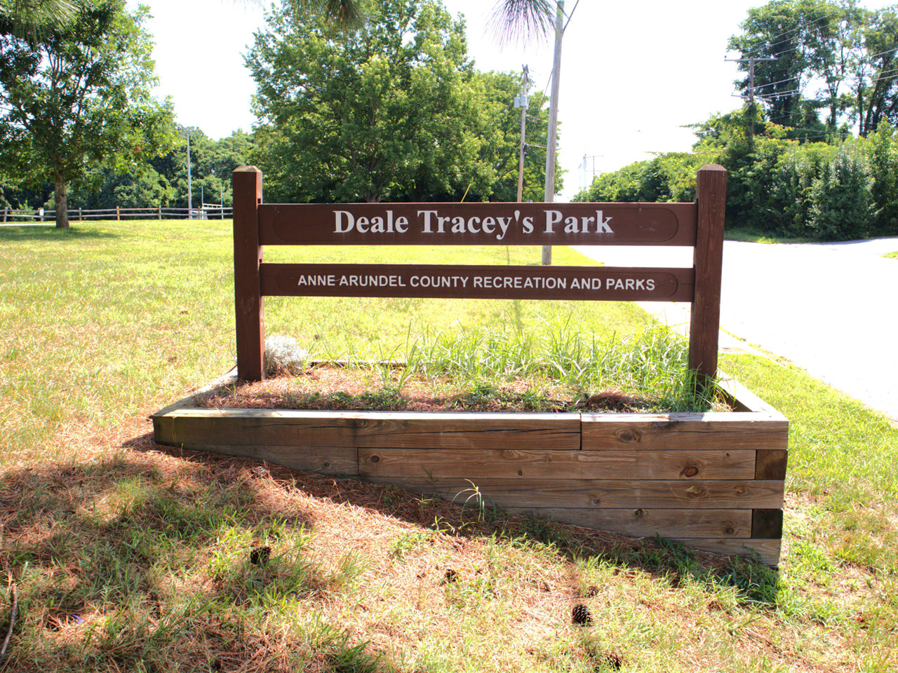 A dark brown wooden entrance sign stands in a raised landscaping timber planter box, displaying white lettering that reads "Deale Tracey's Park" on the upper rail and "ANNE ARUNDEL COUNTY RECREATION AND PARKS" on the lower rail. Situated next to a curving paved road, the sign is positioned on a grassy lawn scattered with pine needles, framed by overhanging pine branches at the top of the frame. In the background, a wooden split-rail fence borders the bright green park grounds surrounded by lush trees under 