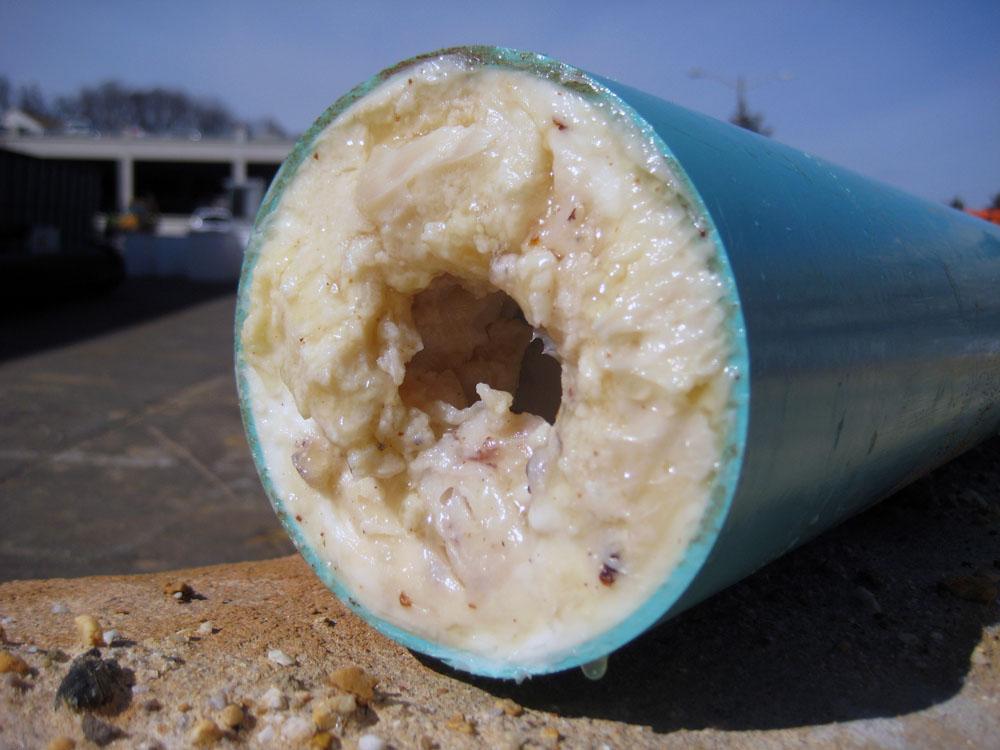 A cross-section of a blue pipe severely clogged with a thick, white buildup of fats, oils, and grease, leaving only a tiny opening in the center.