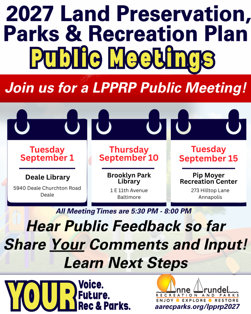 Public Meetings Flyer