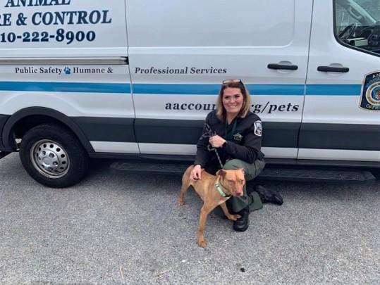 Animal Services officer with a dog on a leash