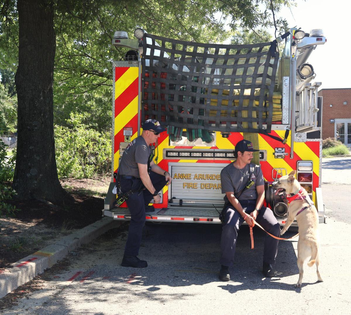 A photo of the back of a fire truck with 2 firefighters and a dog on a leash.