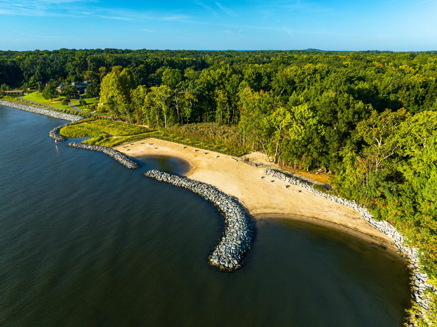Downs Park Shoreline