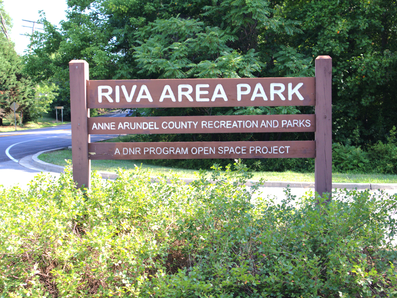 A brown wooden post-and-beam park sign nestled behind low-growing green shrubs. The main header reads "RIVA AREA PARK" in bold white capital letters, with two lines below reading "ANNE ARUNDEL COUNTY RECREATION AND PARKS" and "A DNR PROGRAM OPEN SPACE PROJECT." In the background, a paved road curves past dense green trees under bright sunlight.