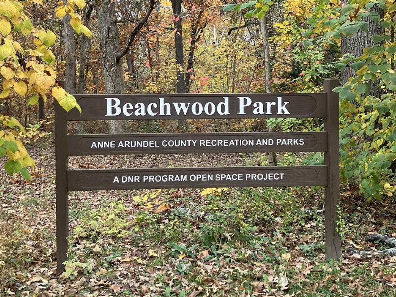A dark brown wooden entrance sign for Beachwood Park set against a backdrop of woods with yellow autumn foliage reads "Beachwood Park" in large white letters, followed by "ANNE ARUNDEL COUNTY RECREATION AND PARKS" and "A DNR PROGRAM OPEN SPACE PROJECT" on the panels below, all surrounded by fallen leaves covering the ground. 