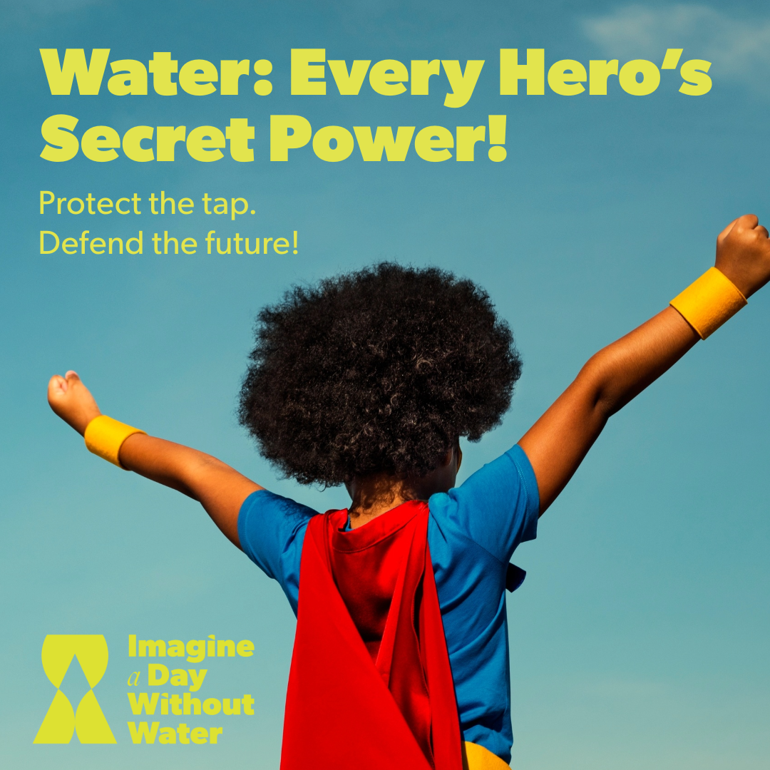 Value of Water infographic 