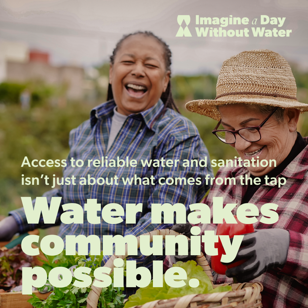 Value of Water