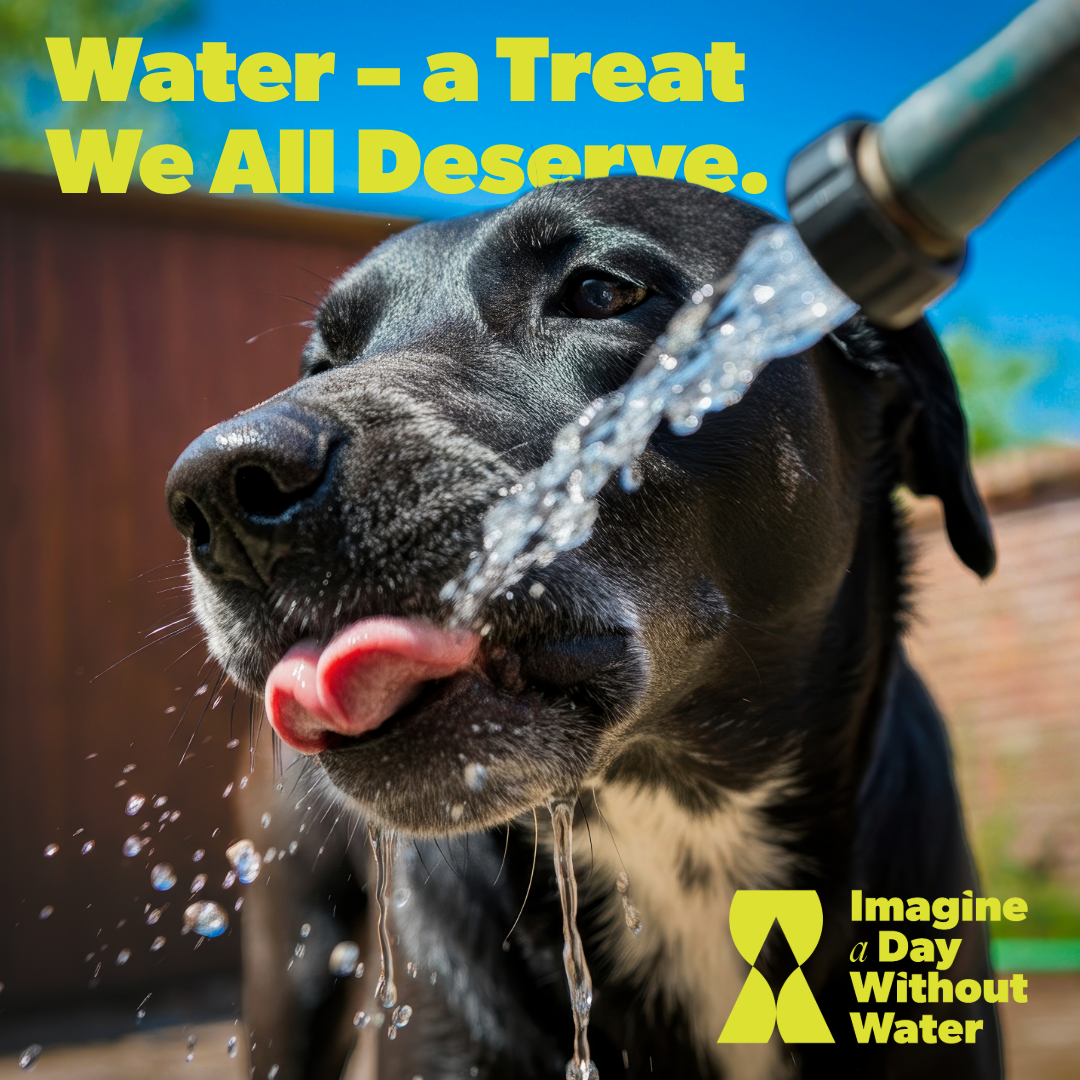 Value of Water 