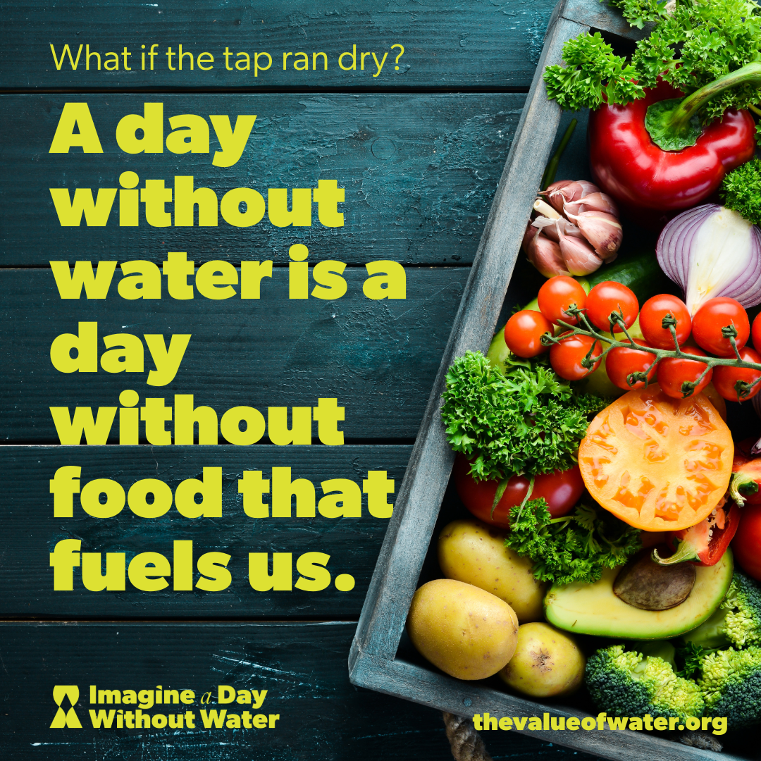 Value of Water